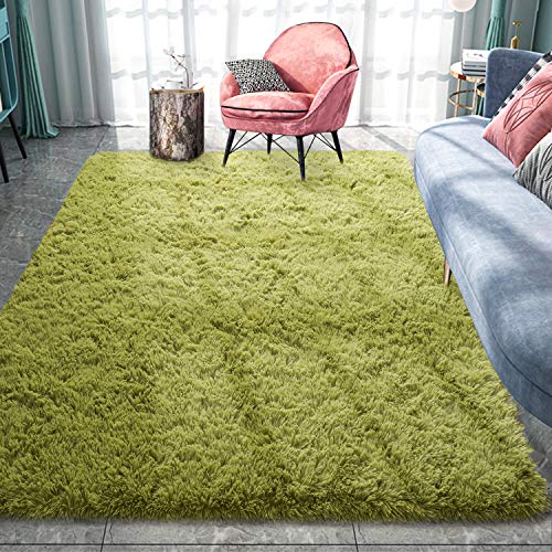 Pacapet Fluffy Area Rugs, Fresh Green Shag Rug for Bedroom, Plush Furry Rugs for Living Room, Fuzzy Carpet for Kid's Room, Nursery, Home Decor, 3 x 5 Feet