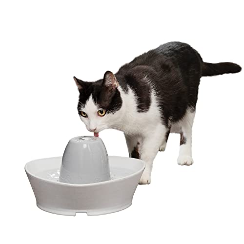 PetSafe Creekside Ceramic Pet Fountain – for Cats and Small Dogs – 60 Oz Water Capacity – Whisper-Quiet Water Flow – Great for Shy or Timid Pets – Fresh, Filtered Water