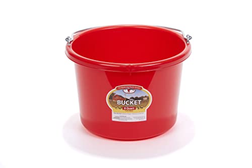 Plastic Animal Feed Bucket (Purple) - Little Giant - Round Plastic Feed Bucket with Metal Handle (8 Quarts / 2 Gallons) (Item No. P8RED6)