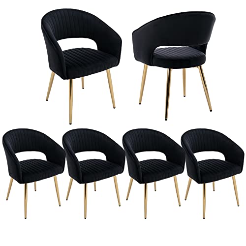 QUINJAY Modern Velvet Dining Chairs Set of 6, Upholstered Gold Dining Chairs with Hollow Back, Dining Room Chairs with Gold Legs, Accent Armrest Chairs Kitchen Chairs for Living Room Reception Black
