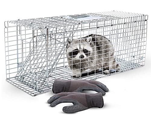 SAFETRAP Large Cage Trap for Live Animals + Bite Proof Gloves - 32" One-Door Humane Live Cage - Heavy Duty Animal Trap - Ideal to Catch & Release Raccoon, Chipmunk, Rabbit, Groundhog, Cat