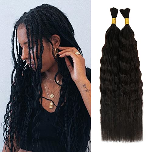 Starlet Micro Braiding Hair Human Bulk Hair Wet and Wavy Super Bulk 20 Inch 200g (2Pack-4Bundles) Virgin Human Braiding Hair for Micro Braids Hair No Weft Human Hair Braids Extension (20 Inch (Pack of 2), Super Bulk(NATURAL))