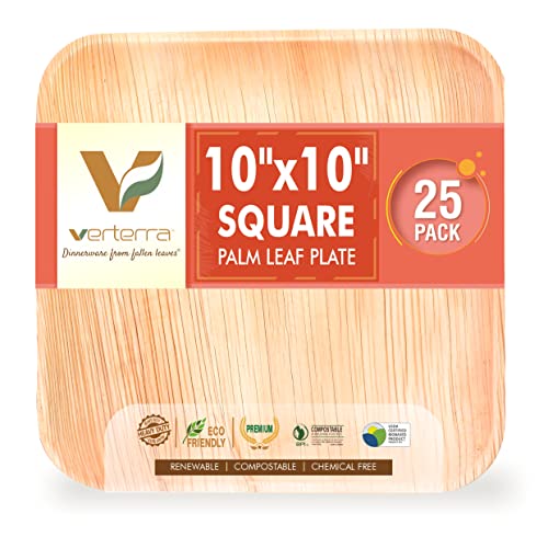 Verterra 10" Square Palm Leaf Plate | (25-Pack) - Square, Premium, Heavy Duty, 100% Compostable, Eco-Friendly, Microwave & Oven Safe, Dinnerware Like Bamboo for Wedding or Events or Party