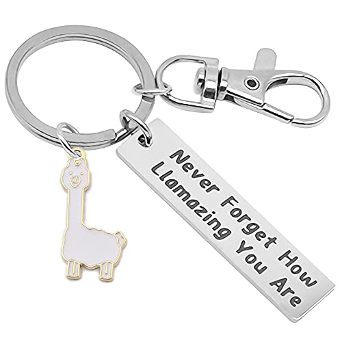 WOCOYO Motivational Llama Keychain Never Forget How Llamazing You are，Llama Gifts for Women,Alpaca Gifts decor Llama Lover Jewelry Gift for Family BFF Animal Lovers white