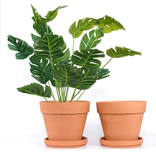 Yishang 9 Inch Clay Pot for Plant with Saucer - 2 Pack Large Terra Cotta Plant Pot with Drainage Hole, Clay Planters Pot, Terracotta Pot for Indoor Outdoor Plant,Round Flower Planter Pots for Plants