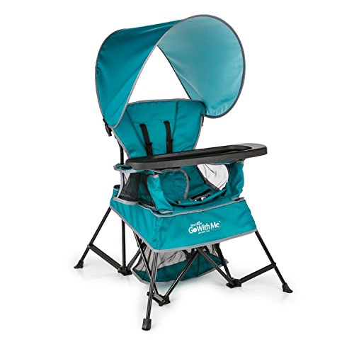 Baby Delight Go with Me Venture Portable Chair | Indoor and Outdoor | Sun Canopy | 3 Child Growth Stages | Teal