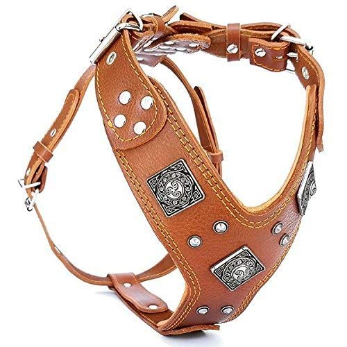 Bestia "EROS Genuine Leather Dog Harness, Large Breeds, Cane Corso, Rottweiler, Boxer, Presa, Bullmastiff, Dogo, 100% Leather, Studded, L- XXL Size, Soft Padded. Made in Europe!