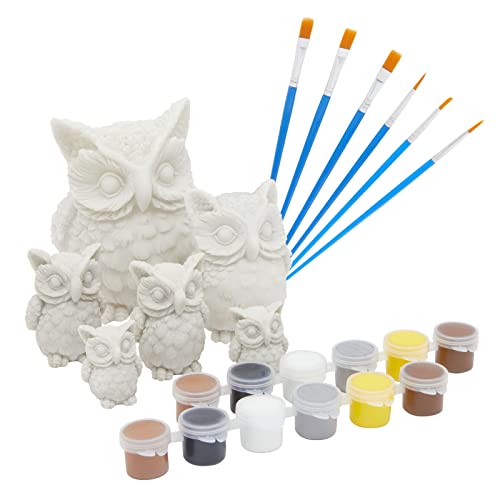 Bright Creations 24 Piece Owl Rock Painting Kit for Adults, Kids with Paint Pods, Brushes and Figurines