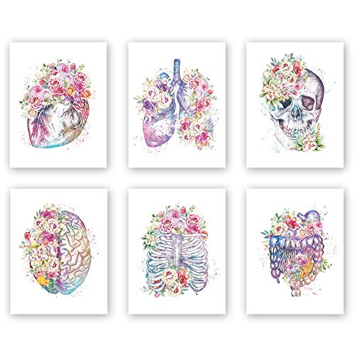 CHDITB Unframed Flowers Skeletal Wall Art Print, Human Organs Art Printing, Body Anatomy Art Posters Abstract Anatomy Viscera Skull With Floral Wall Decor For Doctors Office, Medical Wall Art For Clinic -Set Of 6 (8" x 10")