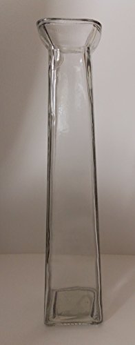 DTSC IMPORTS Clear-Glass Bud Vase, 11" tall NEW