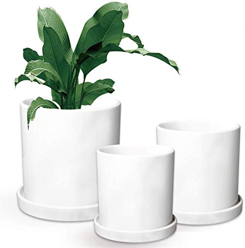 Flower Pots,Small to Large Sized Round Planter Pots,Ceramic Plants Containers,Succulent Pots with Drainage Hole,White Garden Pots 3 Pack