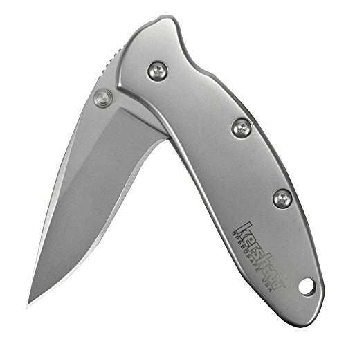 Kershaw Chive Pocket Knife (1600); 1.9” 420HC Steel Blade with 410 Stainless Steel Handle, SpeedSafe Assisted Opening with Flipper, Frame/Tip Lock Slider and Single-Position Pocketclip; 1.7 OZ.