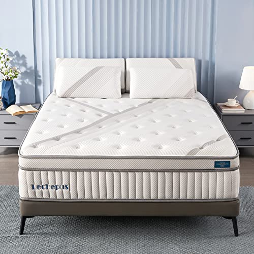 Lechepussleep Queen Mattress,Lechepus 14 Inch Hybrid Memory Foam Mattresses with Pocket Springs,Mattress in Box,Plush Feel Euro Top Mattress for Cool Sleep & Back Pain Relief,CertiPUR-US Foam