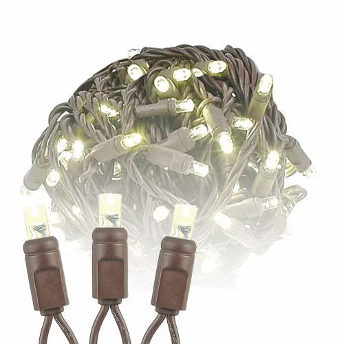 Novelty Lights 100 Commercial LED Christmas Lights (Warm White), 50 Feet w/ 6" Bulb Spacing, 5mm Bulbs, UL Listed, Brown Wire String Lights