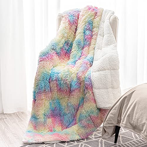 Sivio Weighted Blanket for Adult 20lbs, Shaggy Faux Fur and Soft Sherpa Weighted Throw Blankets Full Size Cozy Weighted Blankets for Men Women, 48x72 Inch Rainbow