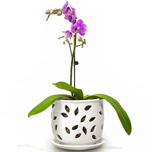 VEBAVO Orchid Pot Ceramic 5.25 inch, Healthy Air Circulation and Drainage Orchid Pots with Holes, Easy Plant Repotting Orchid Planter for Plants Lovers, Indoor/Outdoor Orchid Pots for Repotting