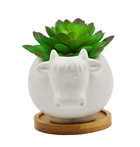 Cuteforyou Succulent Pots,Cute Animal Shaped Cartoon Ceramic Succulent Cactus Flower Pot with Bamboo Tray -Plant Not Included (Cow)