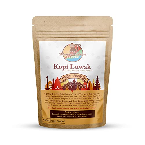 Monkey Business Coffee - Wild Kopi Luwak Coffee Whole Beans - Sustainably Sourced (from Indonesia) - 176oz (5kg)