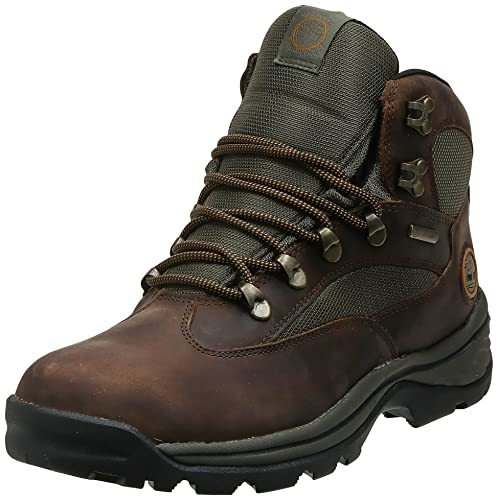 Timberland Men's Chocorua Trail Mid Waterproof Snow Shoe, Brown/Green, 11 D - Medium