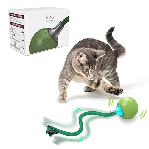 AUKL Cat Toys Interactive Rotating Furious on Carpet, Motion Activate Cat Toy Ball with Bird Sound (Green Ball)