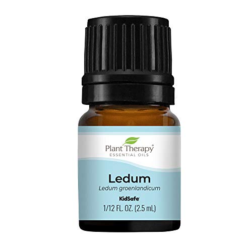 Plant Therapy Ledum Essential Oil 2.5 mL (1/12 oz) 100% Pure, Undiluted, Natural Aromatherapy, Therapeutic Grade