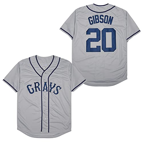 Rainbow Hawk Men's #20 Josh Gibson Homestead Grays Negro National League Baseball Jersey (Gray, L)