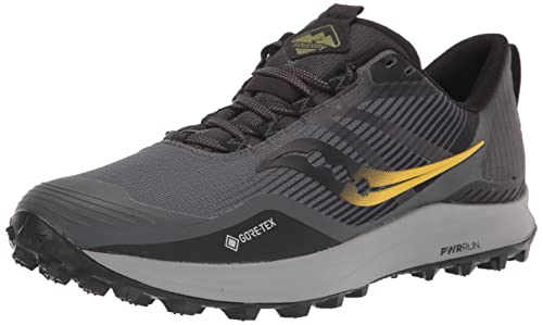 Saucony Men's Peregrine 12 Gore Tex Trail Running Shoe, Alloy/Quartz, 9.5