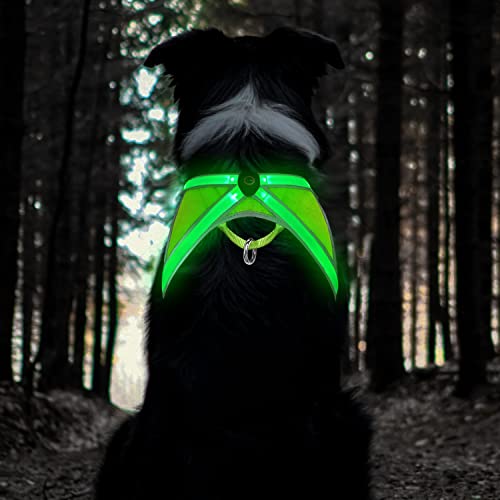 Tripolaco Light Up Dog Harness, High Visibility Led Dog Harness for Night Safety, USB Rechargeable Glowing Dog Harness for Night Walking, Flashing Dog Harness for Small Medium Large Dogs (Green, S)