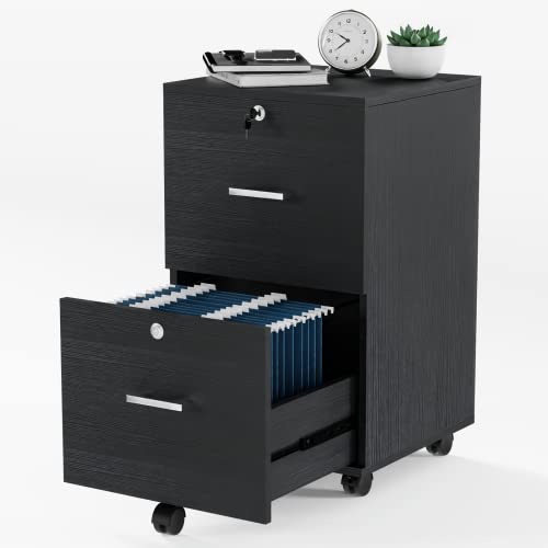 VINGLI 2-Drawer Small Rolling File Cabinet with Lock, Wood Filing Cabinet for Hanging Letter Size Filings with Tabs, Mobile Under Desk File Cabinet for Home Office, Classic Black, 27.2" H